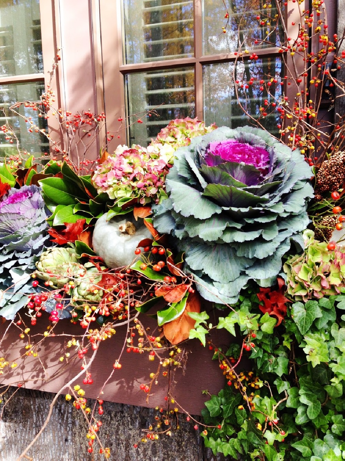 Beautiful colorful fall window box - James Farmer. #fallflorals #fallwindowbox