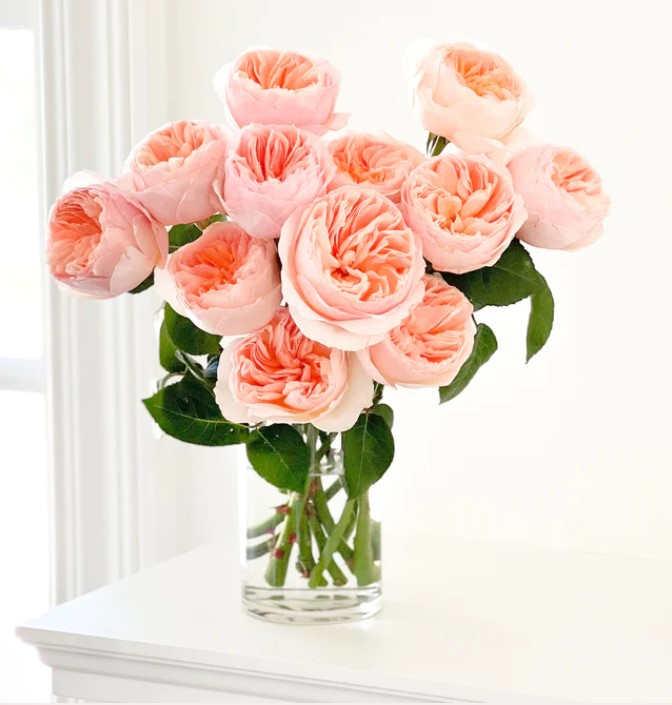 Juliet Rose Bouquet - Grace Rose Farm. #pinkroses #gardenroses