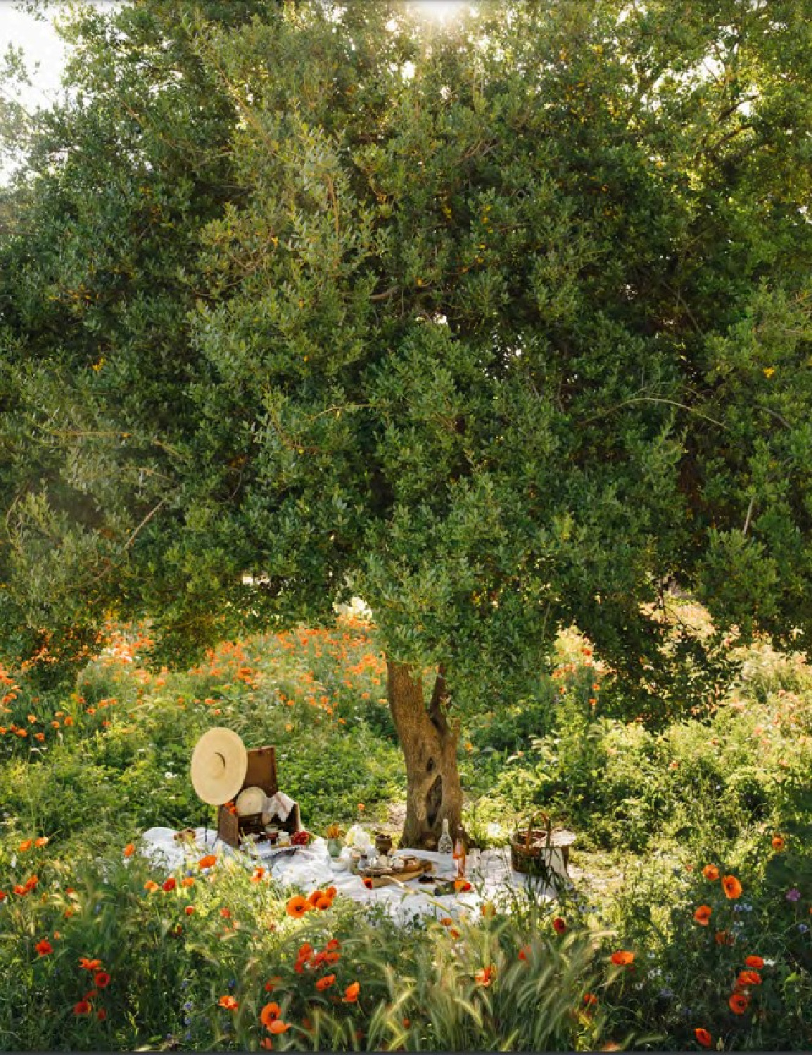 A romantic garden from Provence in THE FLOWERS OF PROVENCE by Jamie Beck. #provencestyle #flowersofprovence #jamiebeck