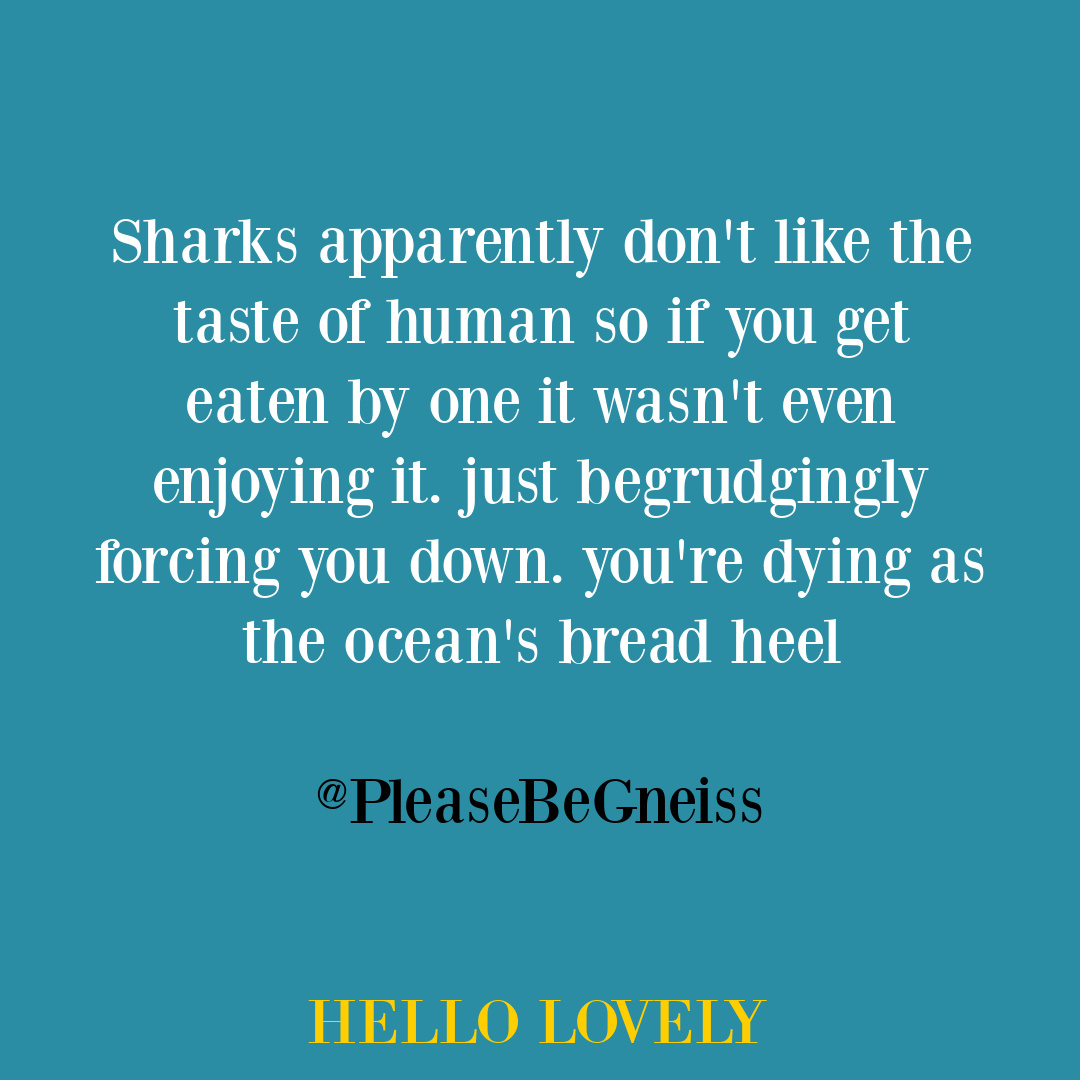 Hilarious sarcasm tweet and funny quote on twitter about sharks by @pleasebegneiss - Hello Lovely Studio. #sharkquotes #funnyanimalhumor #sillytweets