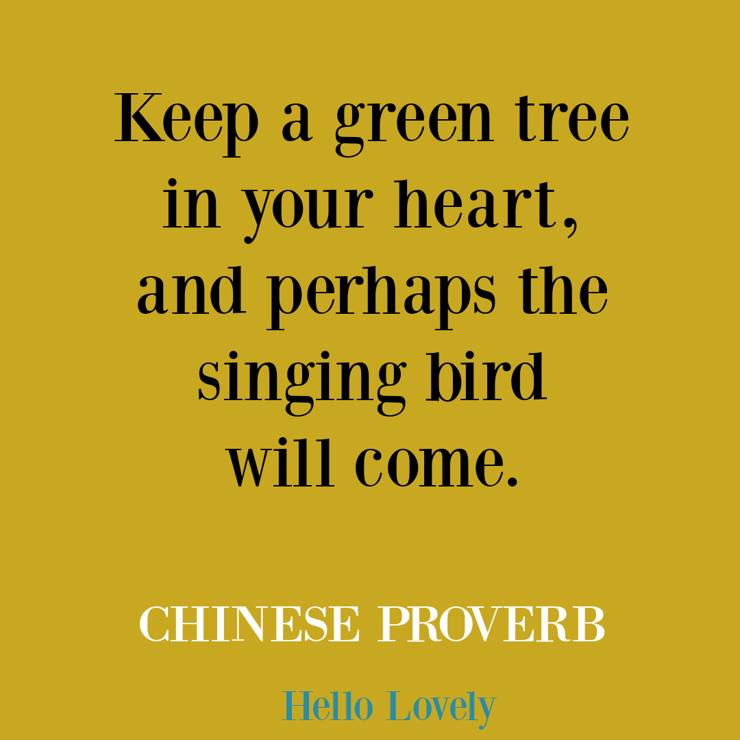 Chinese Proverb hope quote on Hello Lovely Studio. #hopequotes