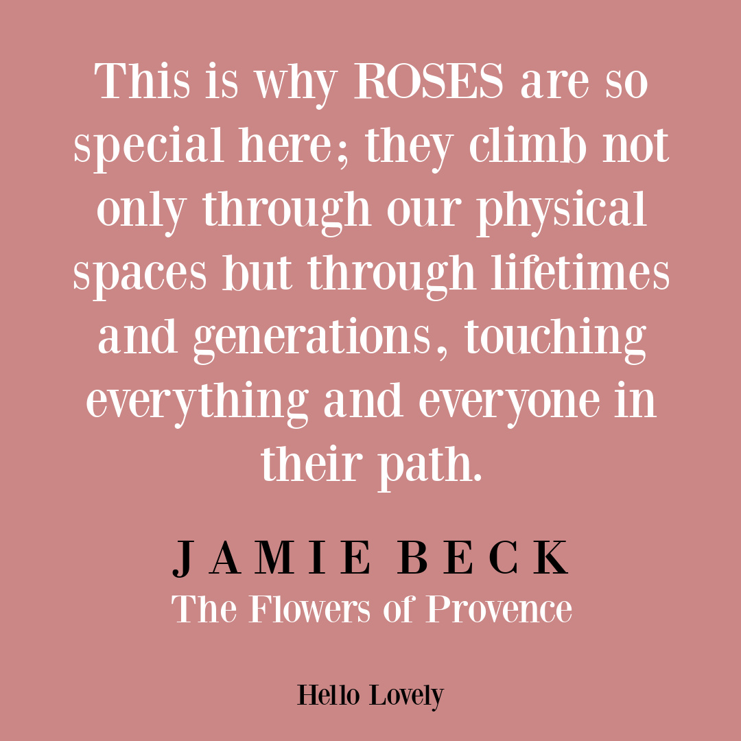 Jamie Beck quote from interview with Hello Lovely Studio.