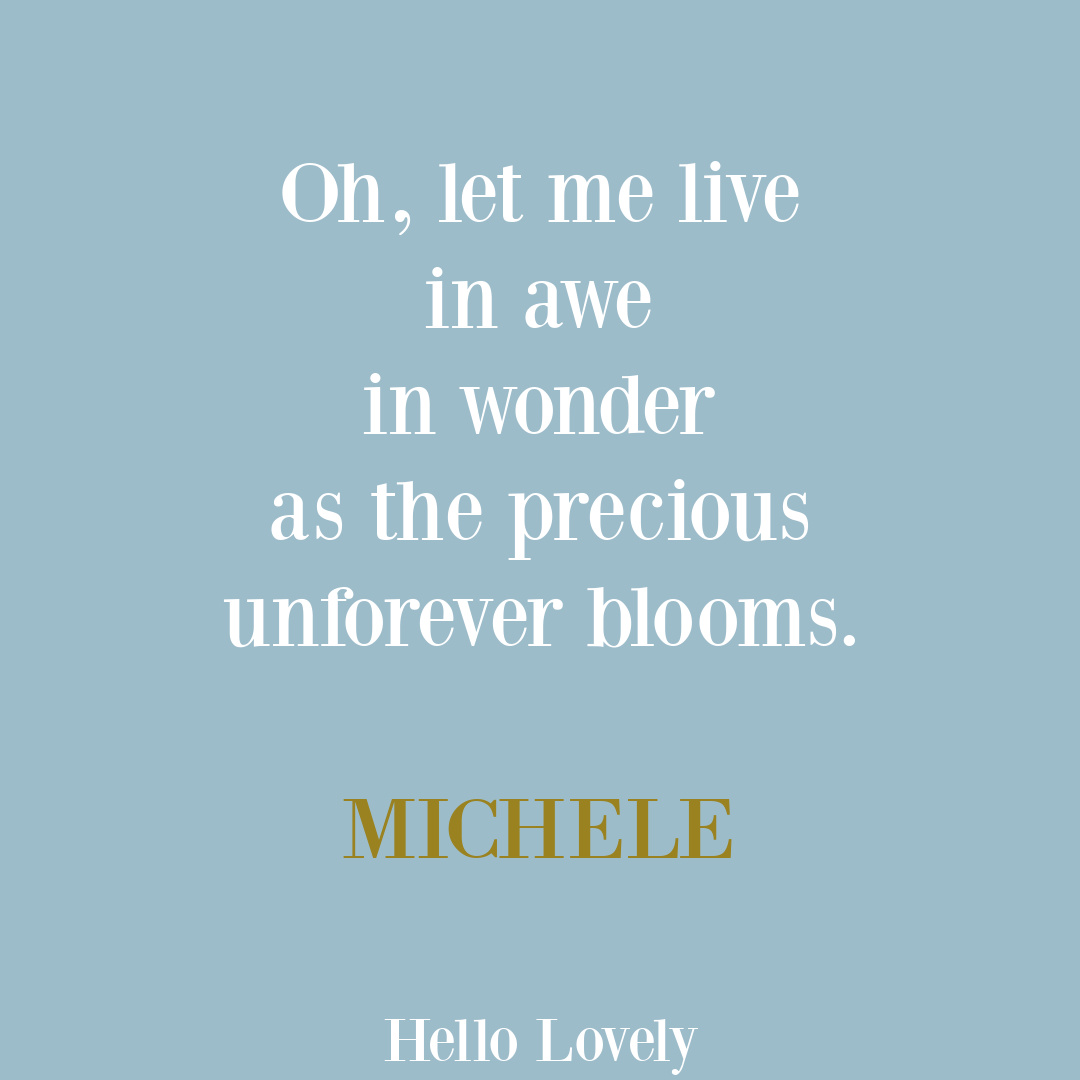 Wonder quote with encouragement by Michele of Hello Lovely Studio. #wonderquotes #encouragementquotes