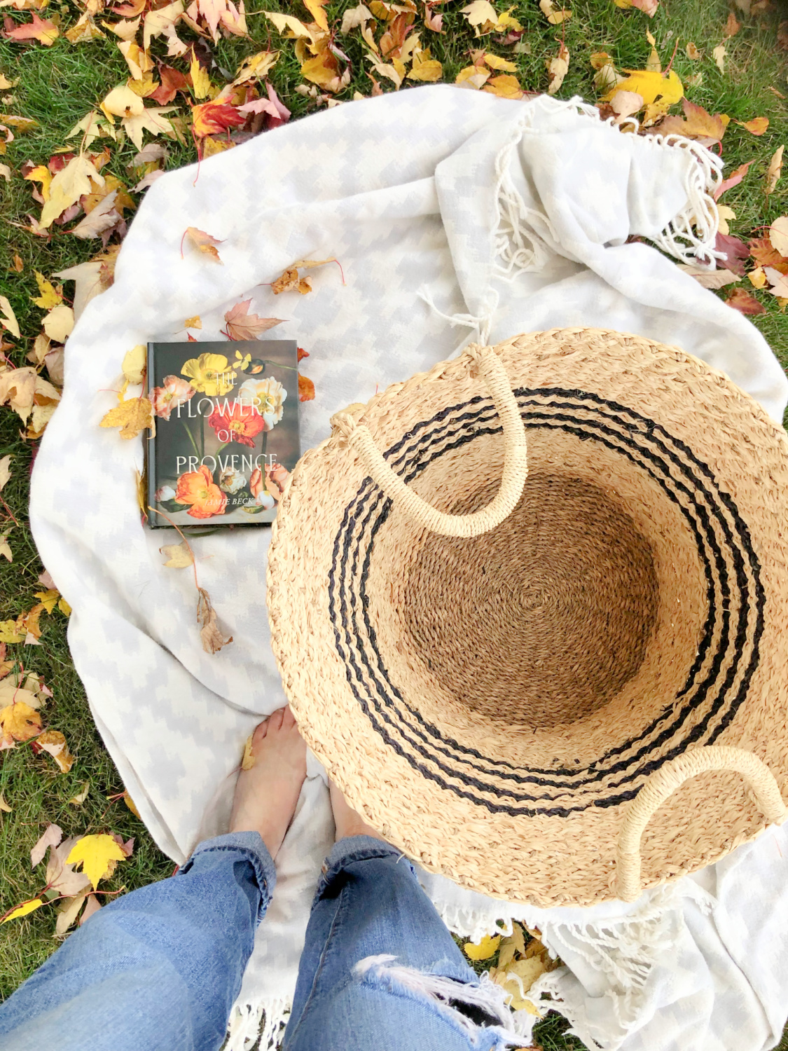 Fall leaves in the front yard with my copy of THE FLOWERS OF PROVENCE and a French basket.