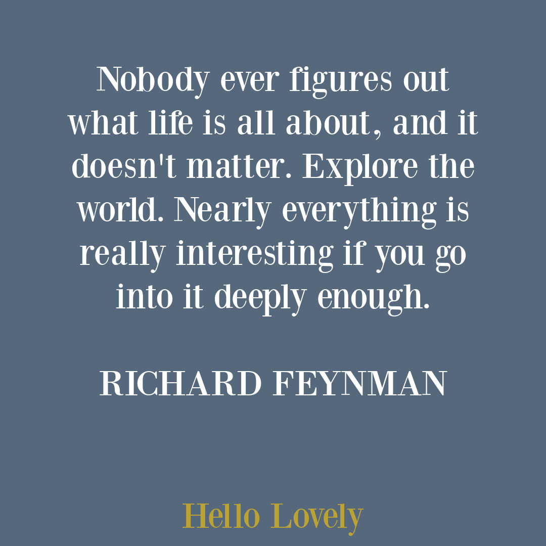 Poignant meaning of life quote by Richard Feynman on Hello Lovely Studio. #lifequotes #poignantquotes