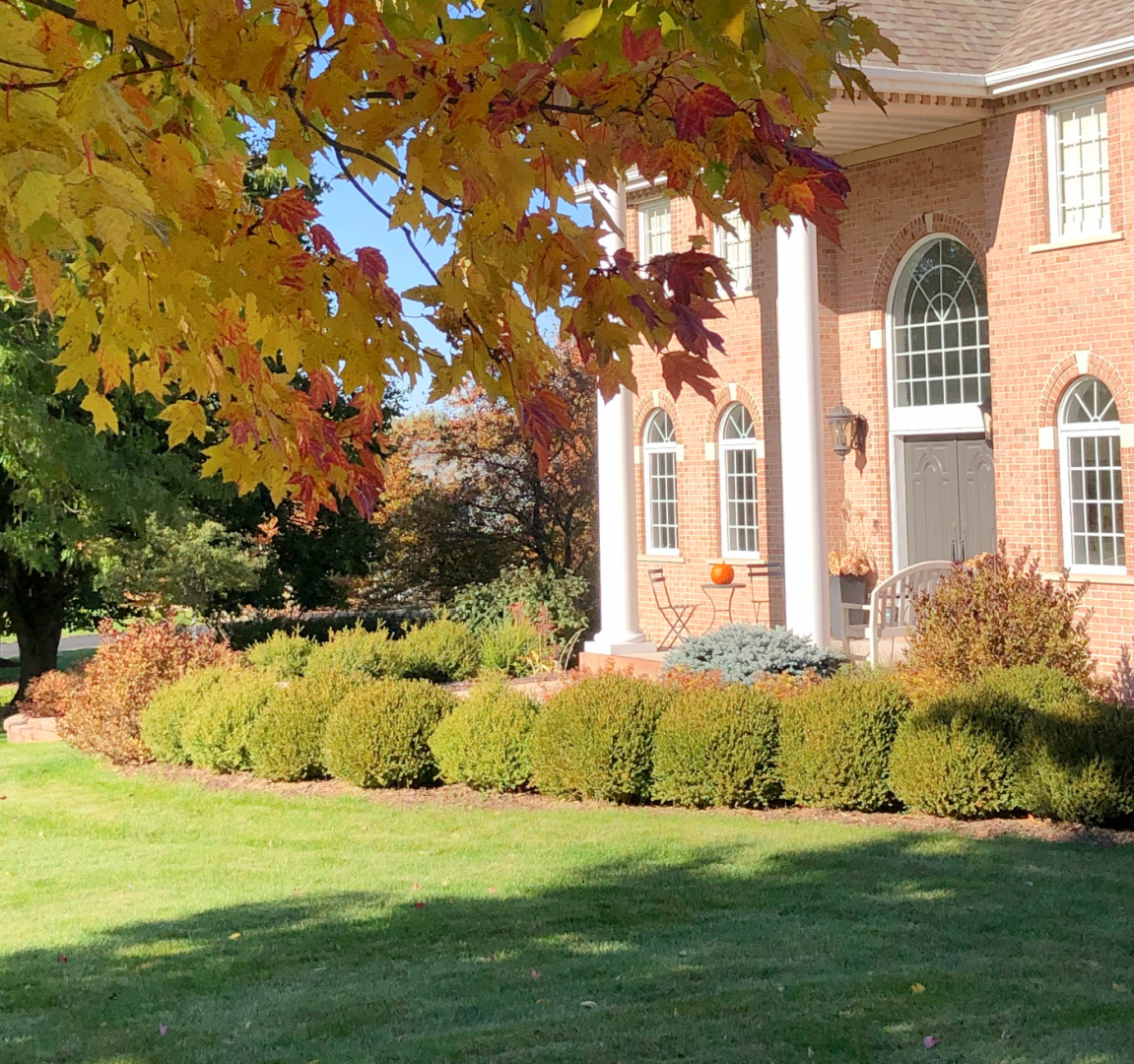 Hello Lovely's fall front yard.