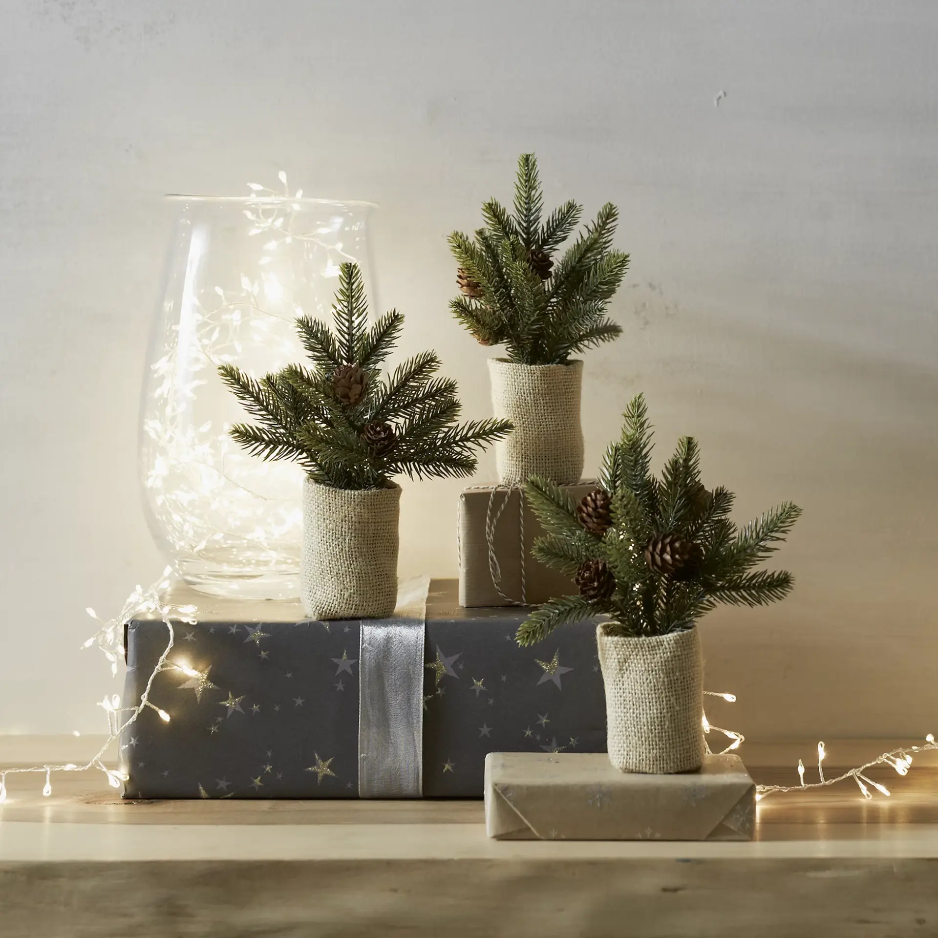 Set of 3 mini Christmas trees from The White Company London.