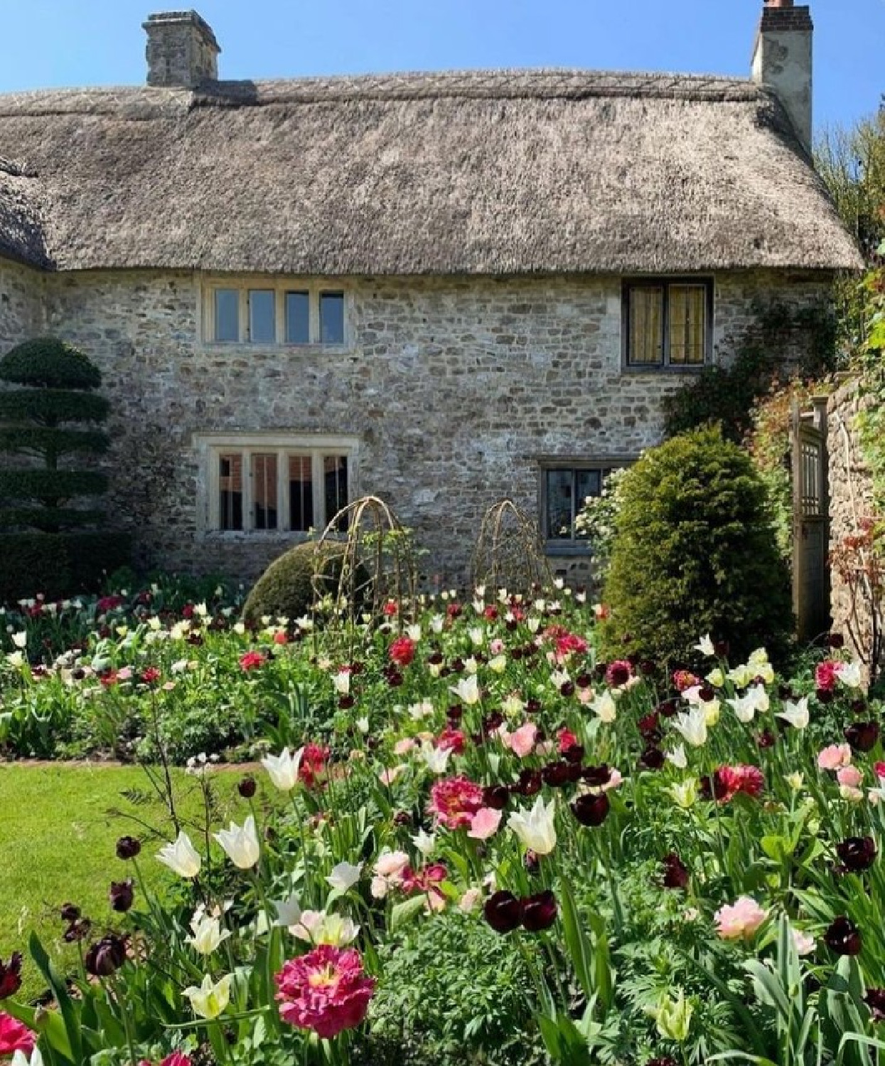Charming ancient stone cottage with tulip garden - @nationalgardenscheme. #tulipgarden #englishcountrycottage #englishcottage #stonecottages