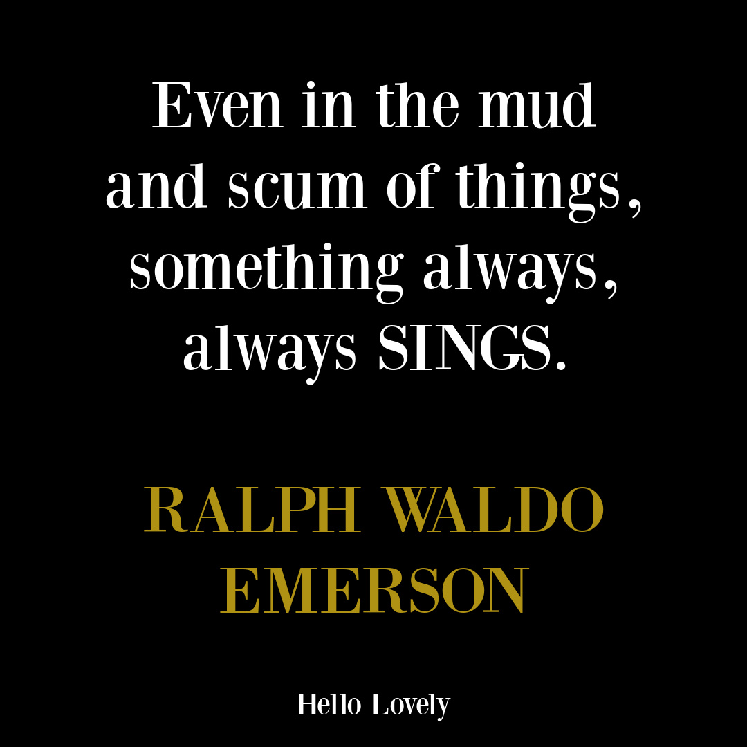Ralph Waldo Emerson inspirational quote with encouragement for struggle and life's disappointments - Hello Lovely Studio. #emersonquotes #strugglequotes #hopequotes #encouragementquotes