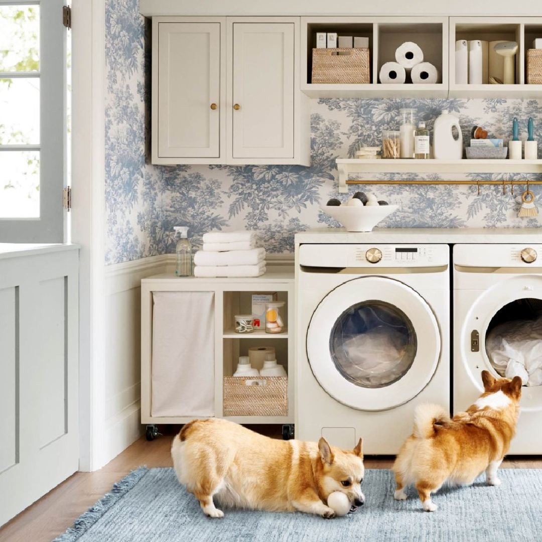 Blue toile wallpaper in laundry room with Dutch door and corgis, Pottery Barn.