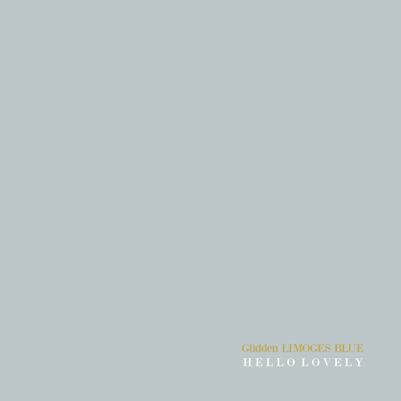 Perfectly Pale French Blue Paint & Timeless French Blues Hello Lovely