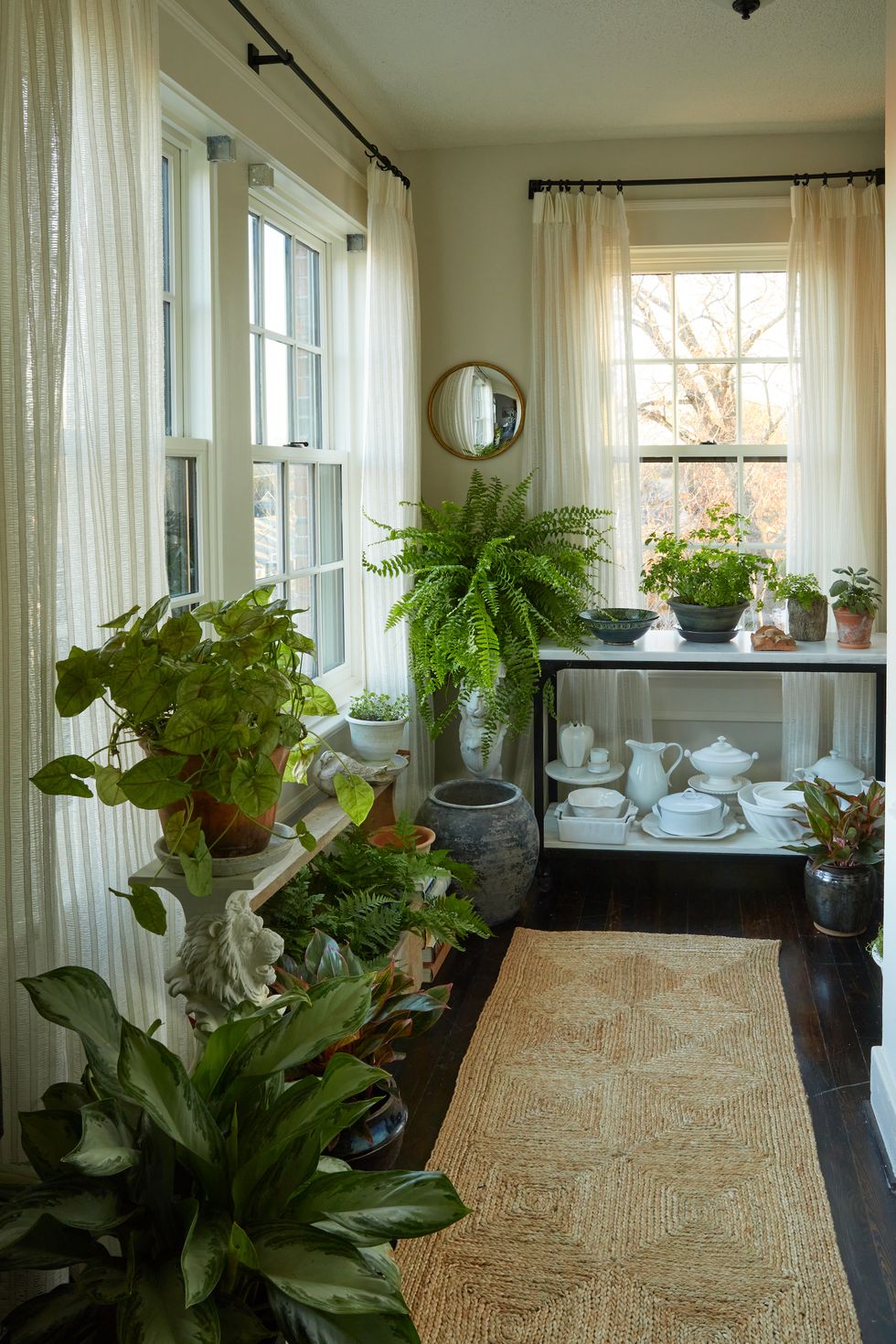 Small room used for conservatory and house plants - Veranda. #conservatories