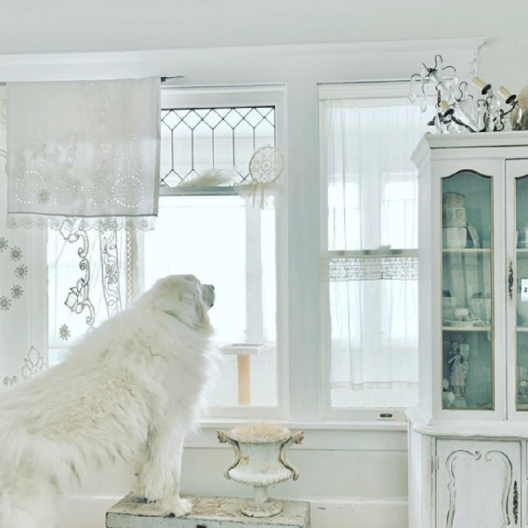 Gentle white on white decor scheme in a Nordic French home with Great Pyrenees gazing out window -My Petite Maison.