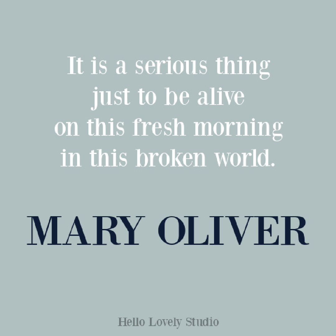 Mary Oliver poetry - gratitude quote on Hello Lovely Studio. #maryoliver #gratitudequotes