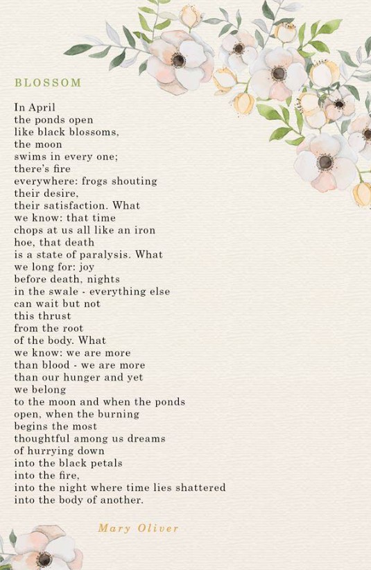 Mary Oliver poem about flowers - BLOSSOM. #maryoliver