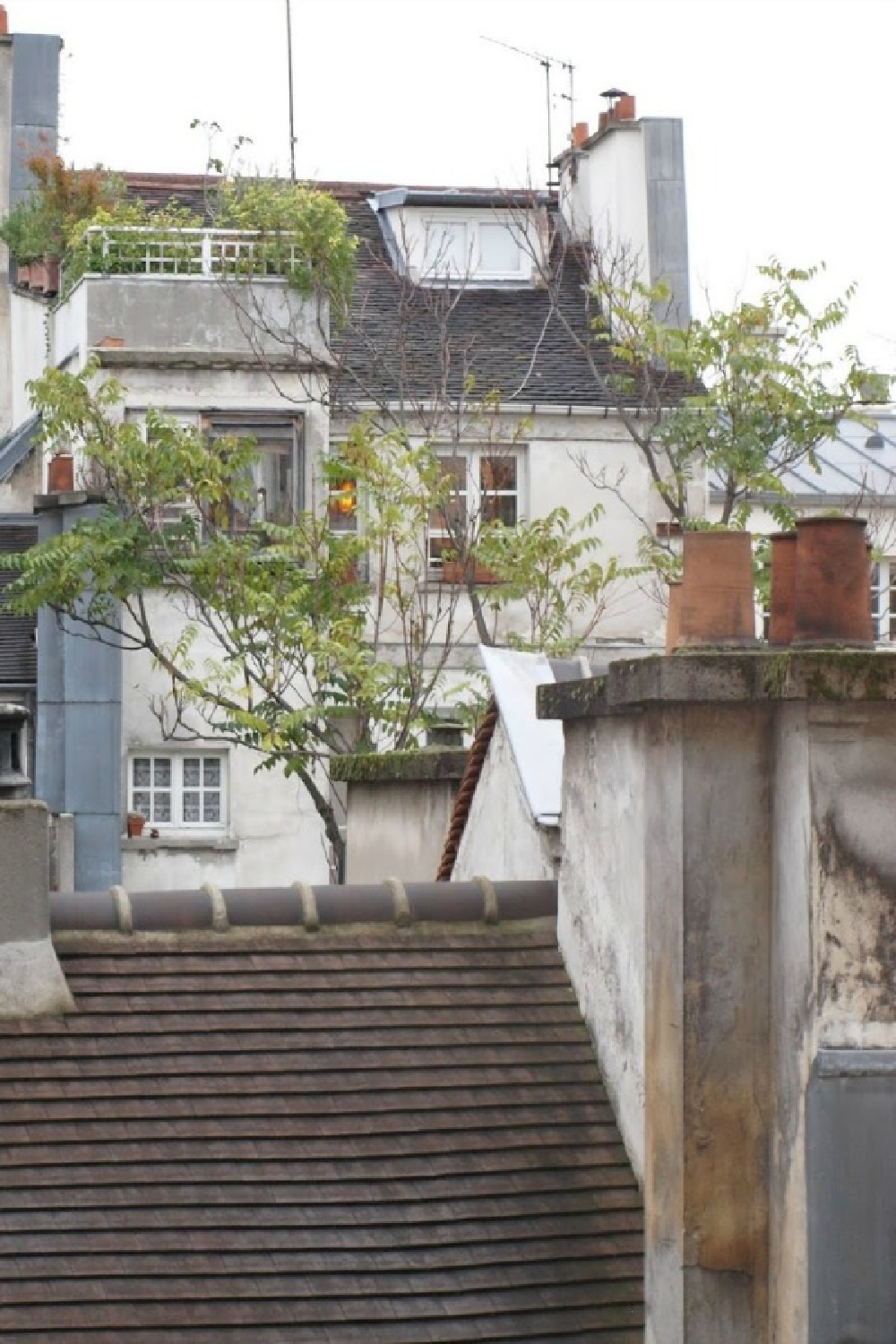 View from kitchen window of rooftops and greenery in Paris apartment near Notre Dame - Hello Lovely Studio.
