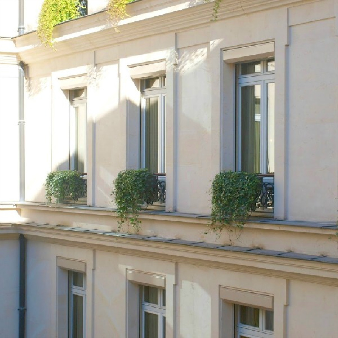 Ivy spilling over window flowers boxes at Park Hyatt Paris Vendome - Hello Lovely Studio.