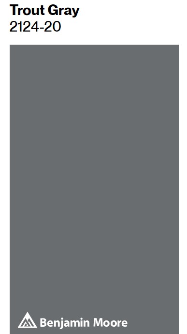 Benjamin Moore Trout Gray paint color swatch. #benjaminmooretroutgray