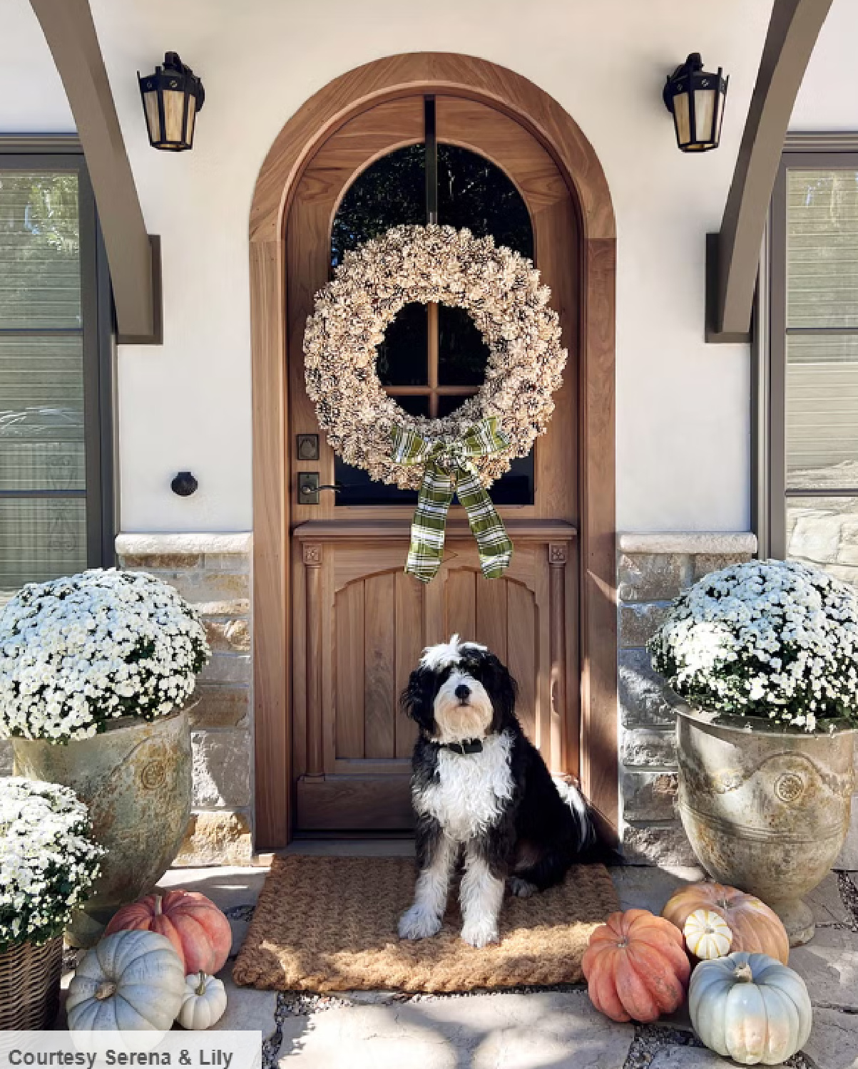 Whimsical pinecone wreath on arched front door and mums on porch with fluffy dog - @serenaandlily #holidaywreath #pineconewreath