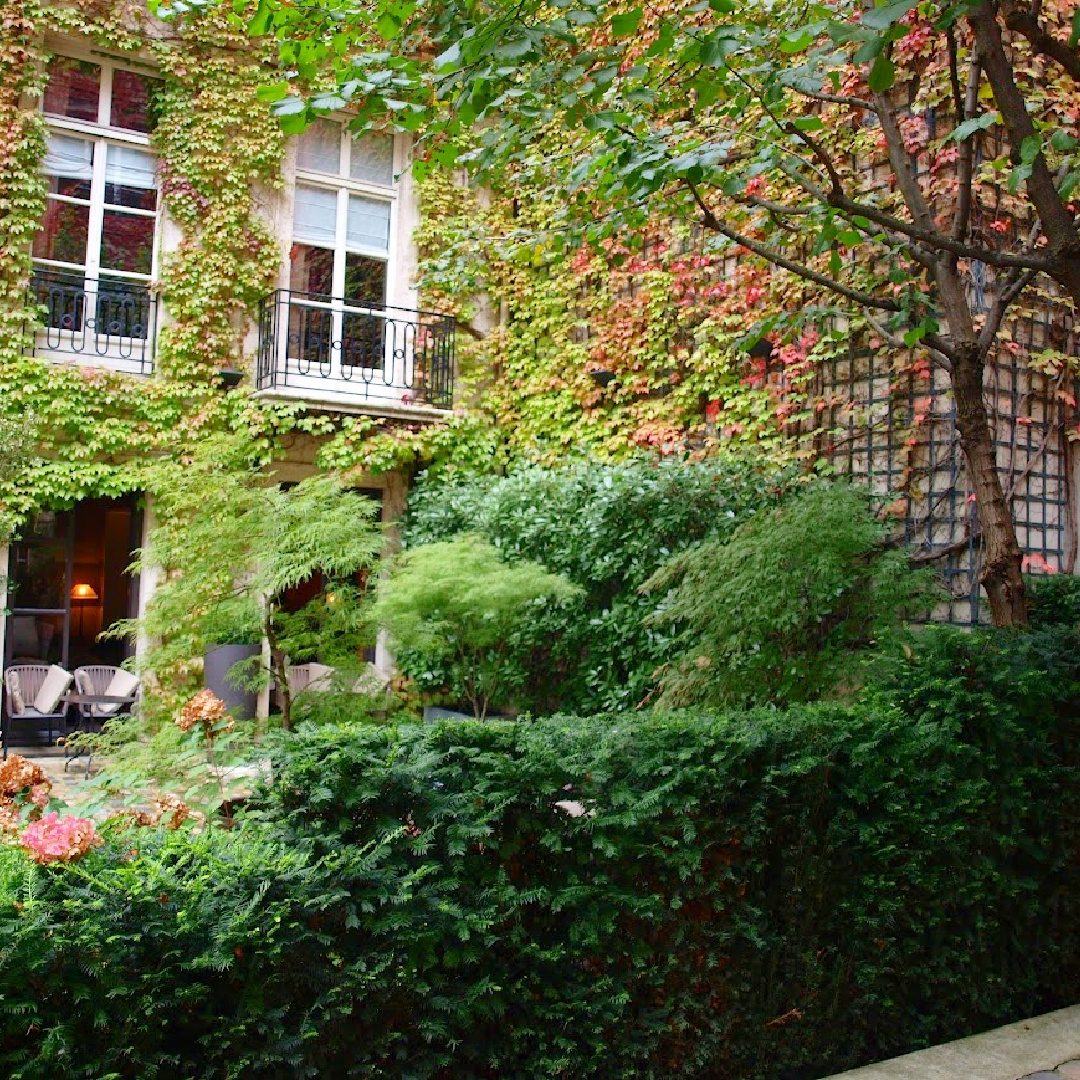 I snapped this in a French courtyard at Le Pavillon de la Reine hotel in Paris (Les Vosges) in fall with climbing vines of red and green - Hello Lovely Studio.