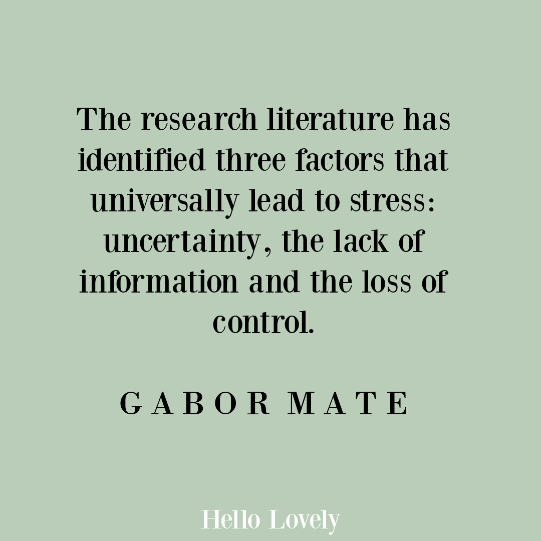Gabor Mate quote about stress and uncertainty on Hello Lovely Studio.