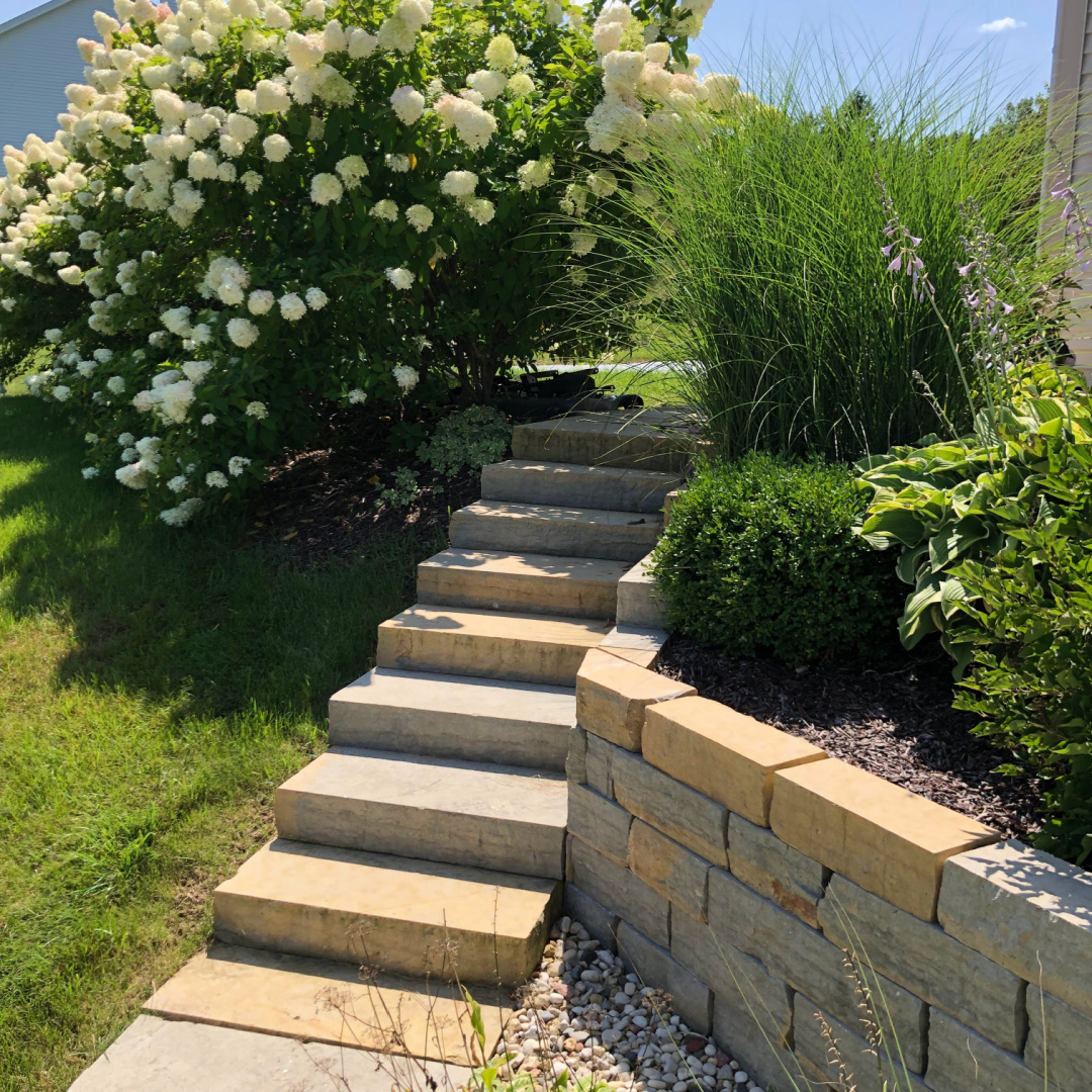 Hello Lovely's backyard with hydrangea in bloom.