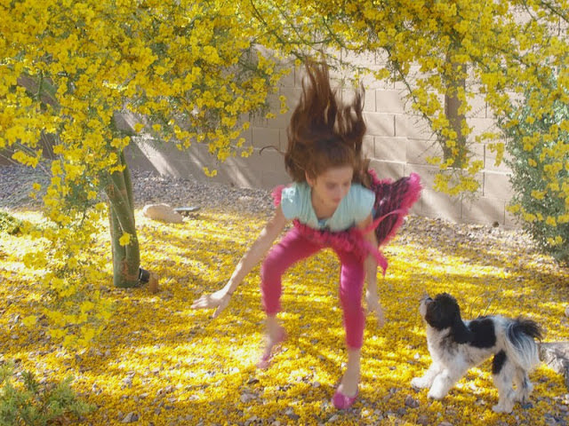 Michele's niece and Gracie leaping beneath yellow flowering blossoms.