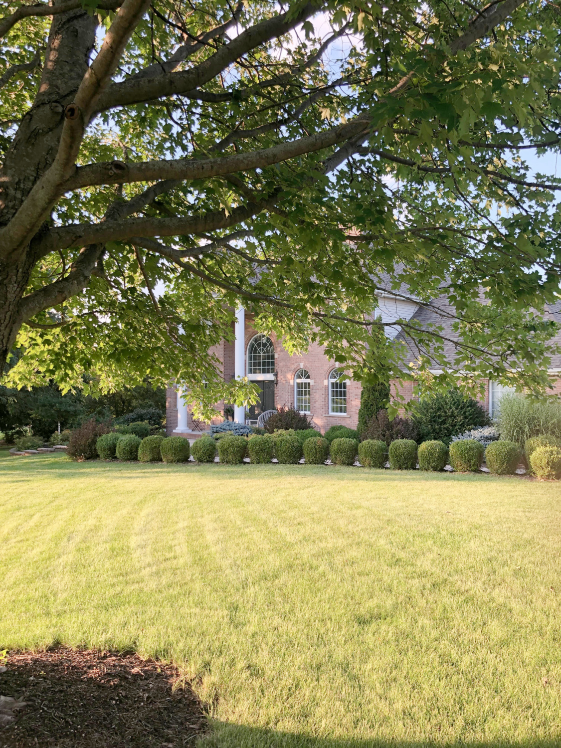 Hello Lovely's red brick Georgian house and front yard with boxwood.