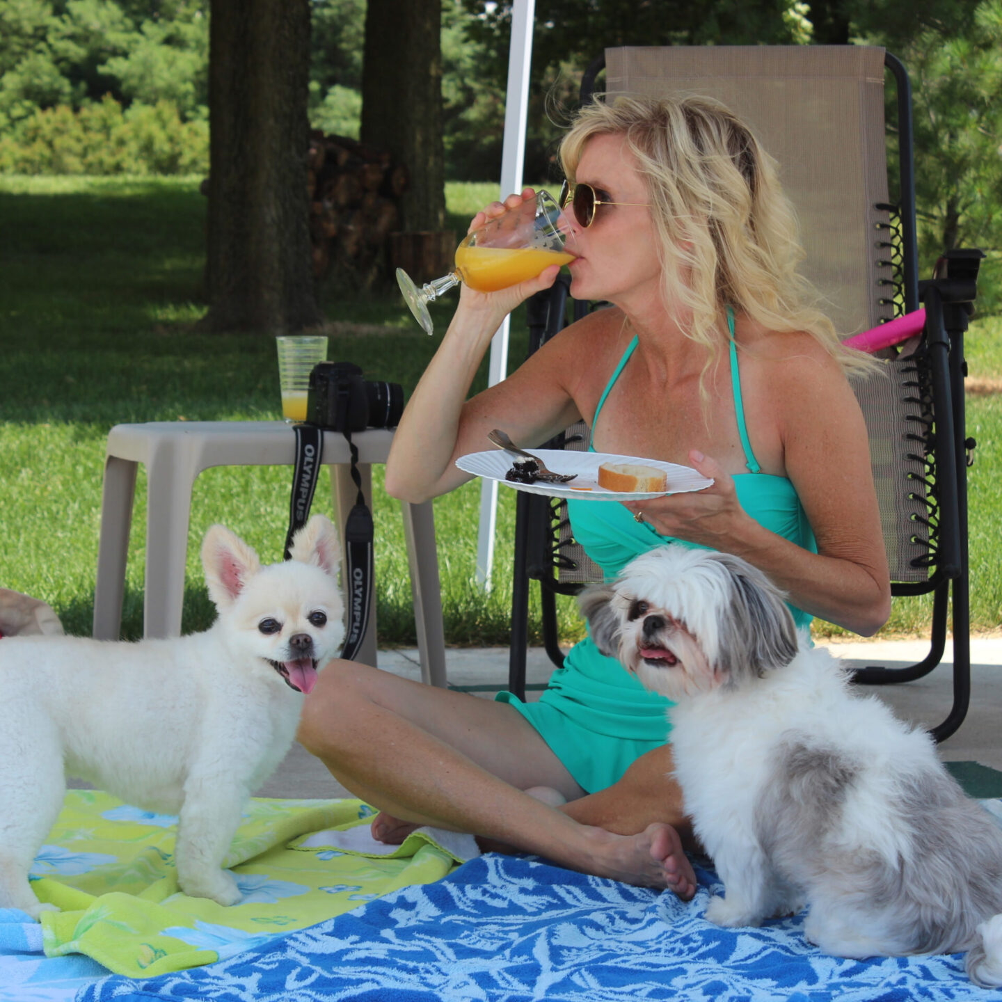Michele from Hello Lovely in swimsuit drinking orange juice with dogs on a picnic blanket.