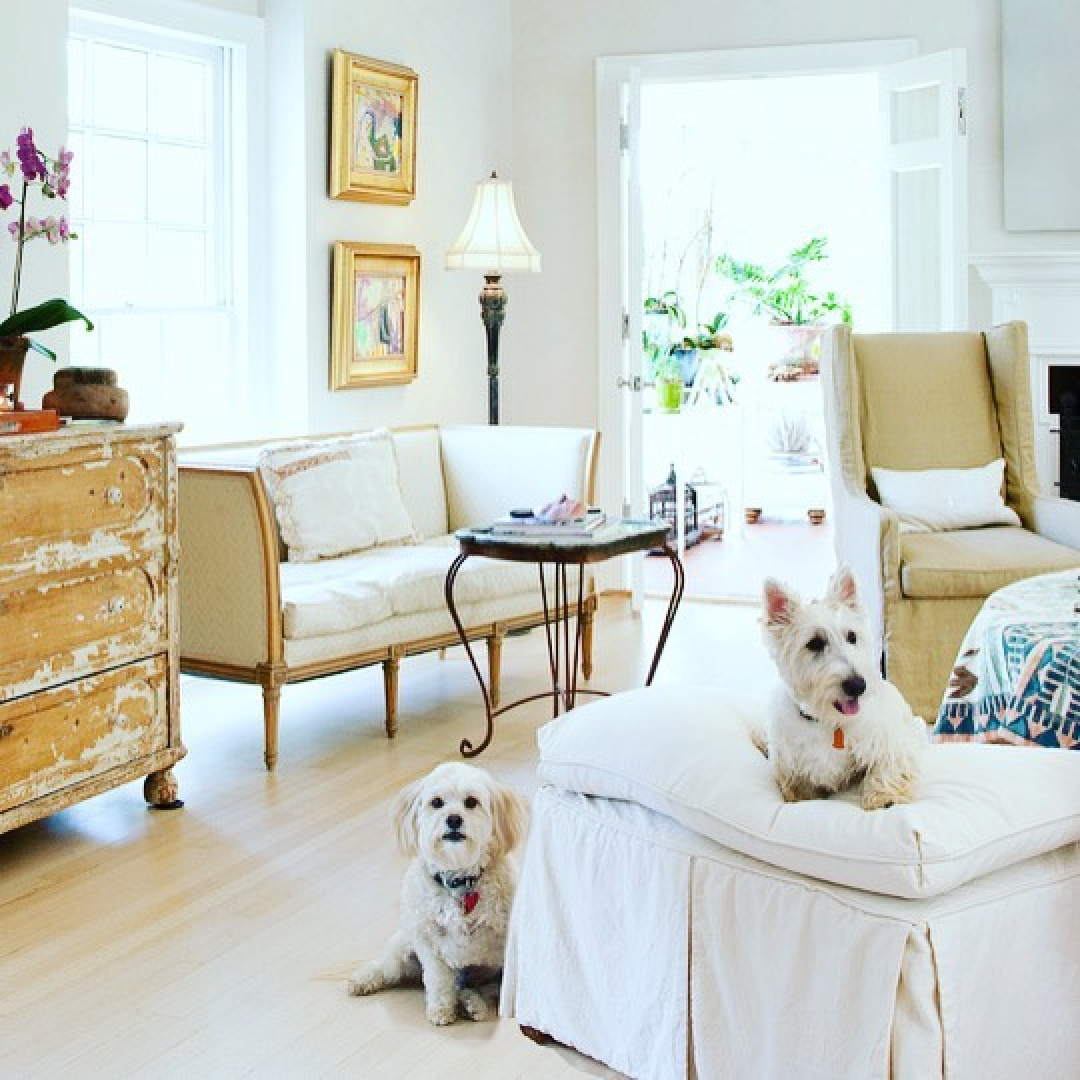 Beautiful country Frnech pale living room with dogs - Fifi O'Neill and Mark Lohman.