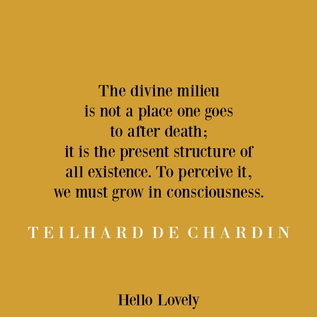 Teihard de Chardin inspirational quote about consciousness on Hello Lovely Studio.