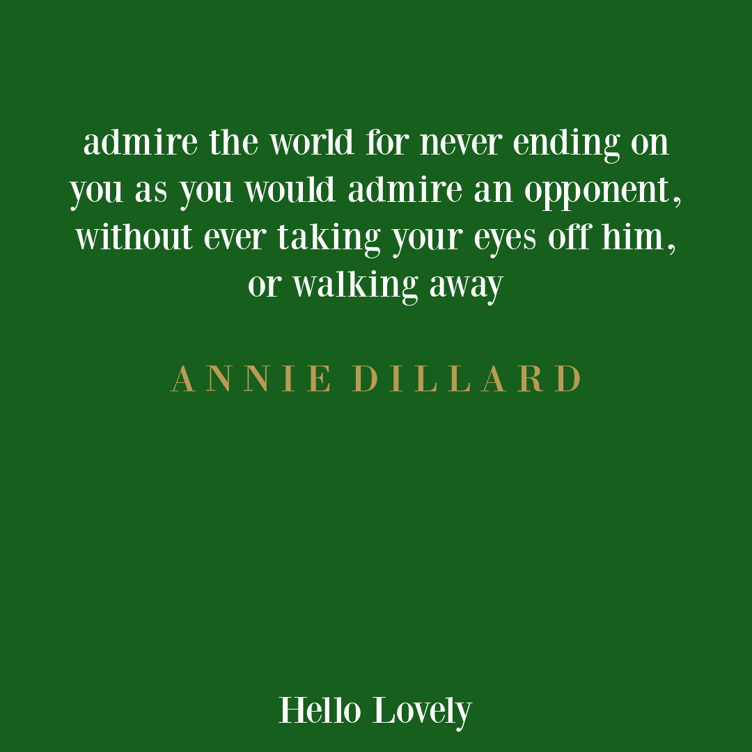 Annie Dillard quote on Hello Lovely Studio.