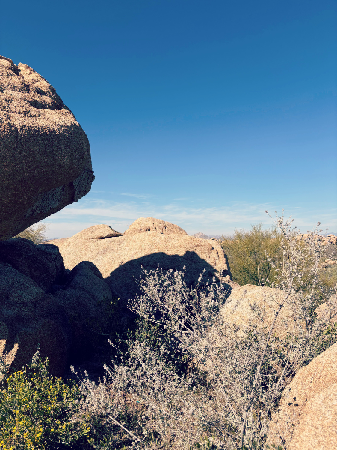 Boulders in an Arizona desert in March - Hello Lovely Studio.