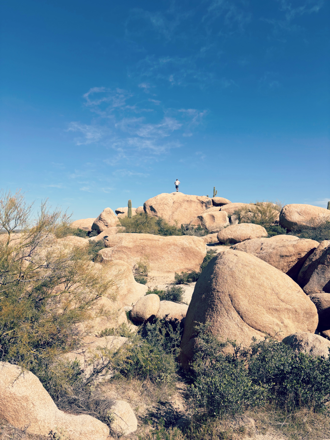 Boulders in the Arizona desert - Hello Lovely Studio.