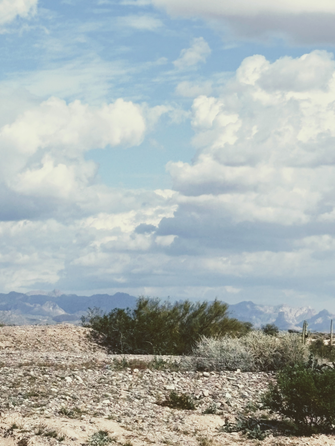 Mountain range near Florence, Arizona - Hello Lovely Studio.