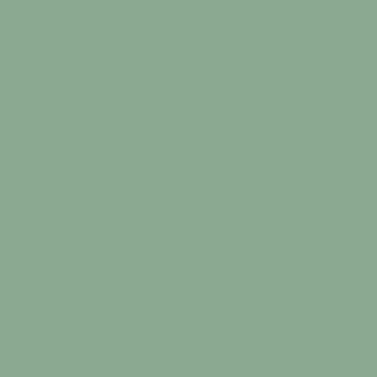 Benjamin Moore SOUTHFIELD GREEN paint color swatch.