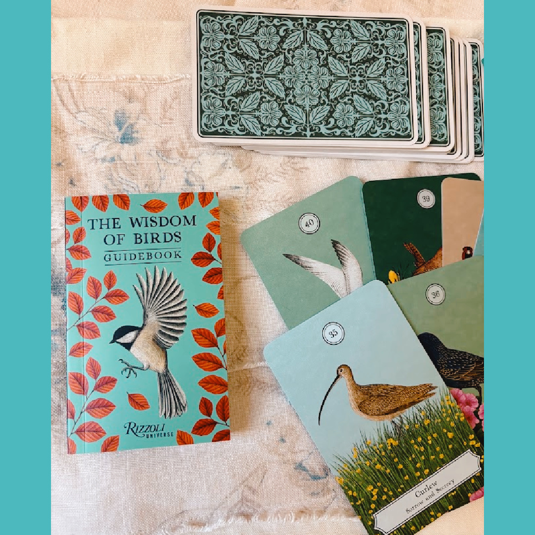 Hello Lovely recommends The Wisdom of Birds oracle deck and guide book (Rizzoli, 2026) as the perfect gift for you or a friend.