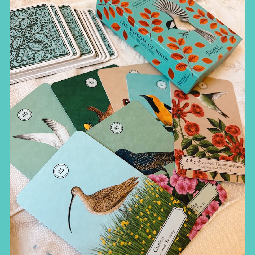 Hello Lovely recommends The Wisdom of Birds oracle deck and guide book (Rizzoli, 2026) as the perfect gift for you or a friend.