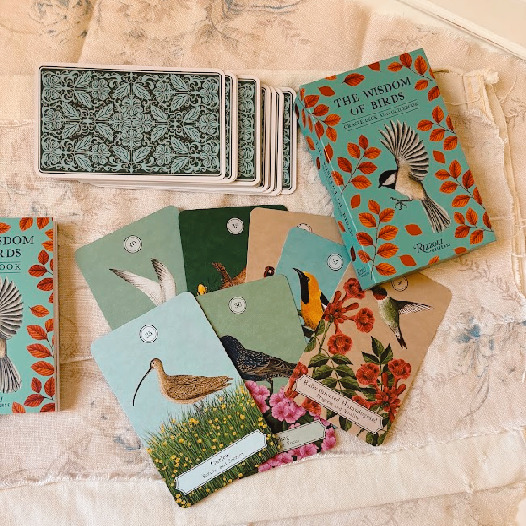 Hello Lovely recommends The Wisdom of Birds oracle deck and guide book (Rizzoli, 2026) as the perfect gift for you or a friend.