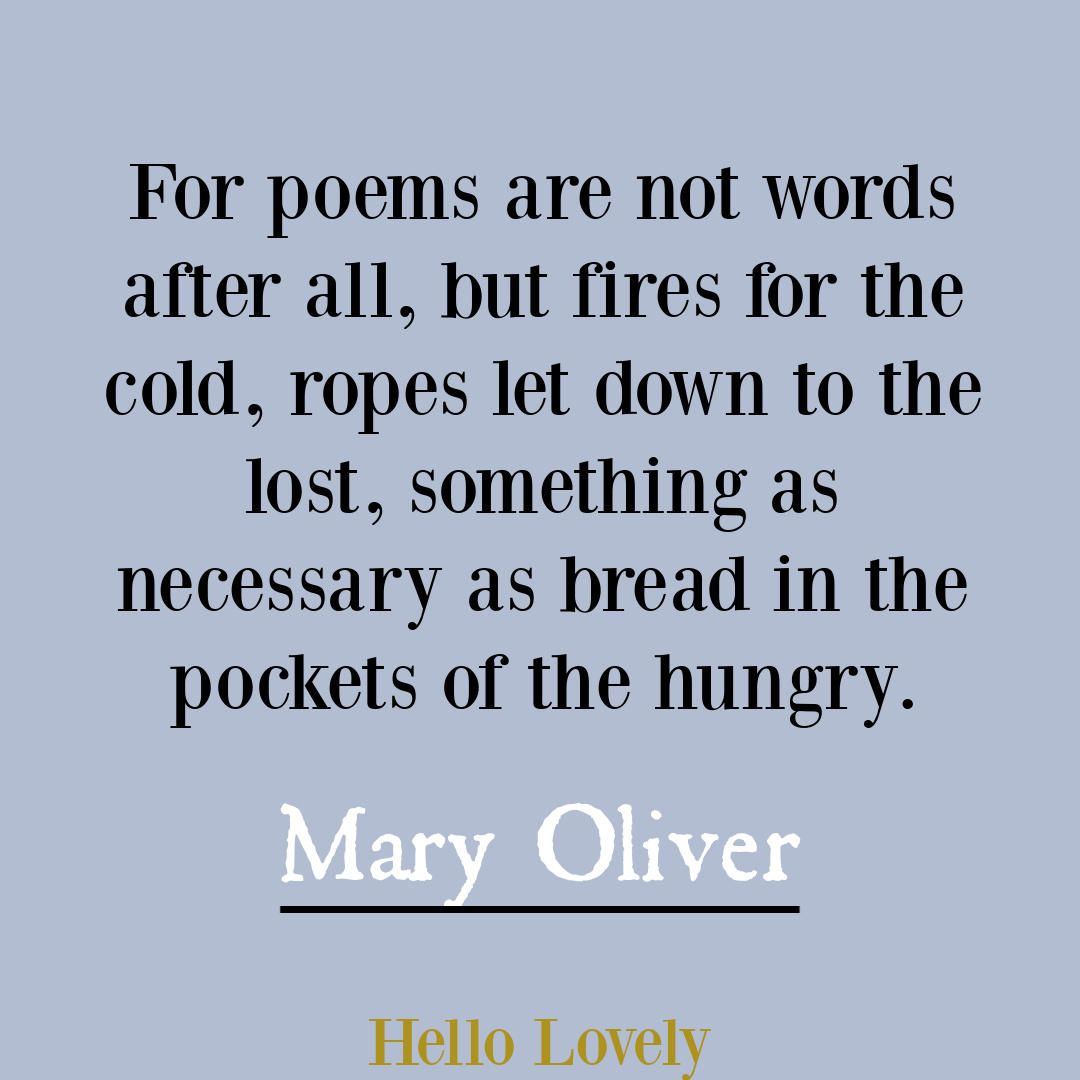Nature poetry by Mary Oliver to inspire insight, wisdom, hope, and depth - on Hello Lovely Studio. #poetrywriting