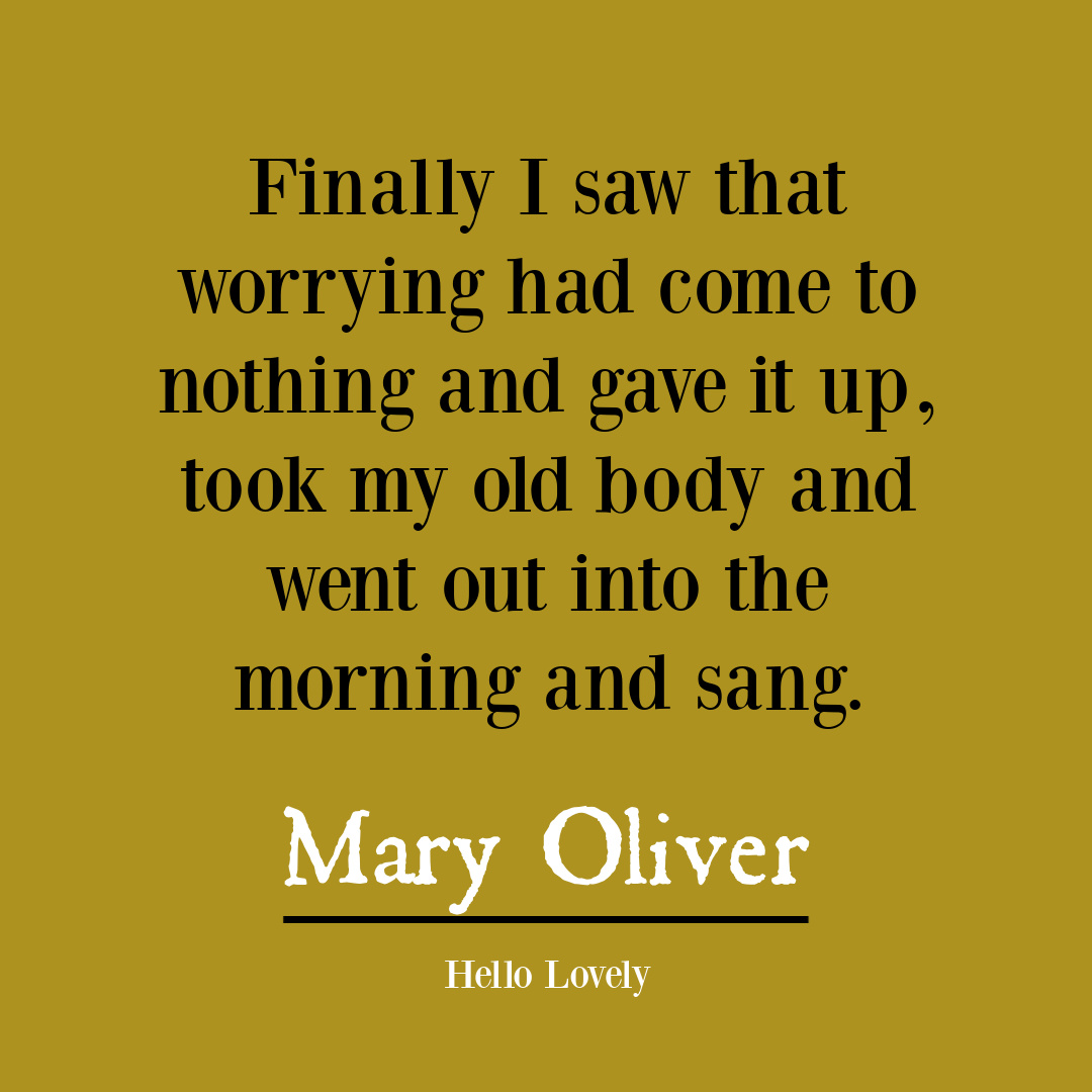 Nature poetry by Mary Oliver to inspire insight, wisdom, hope, and depth - on Hello Lovely Studio. #naturequote #anxietyquote
