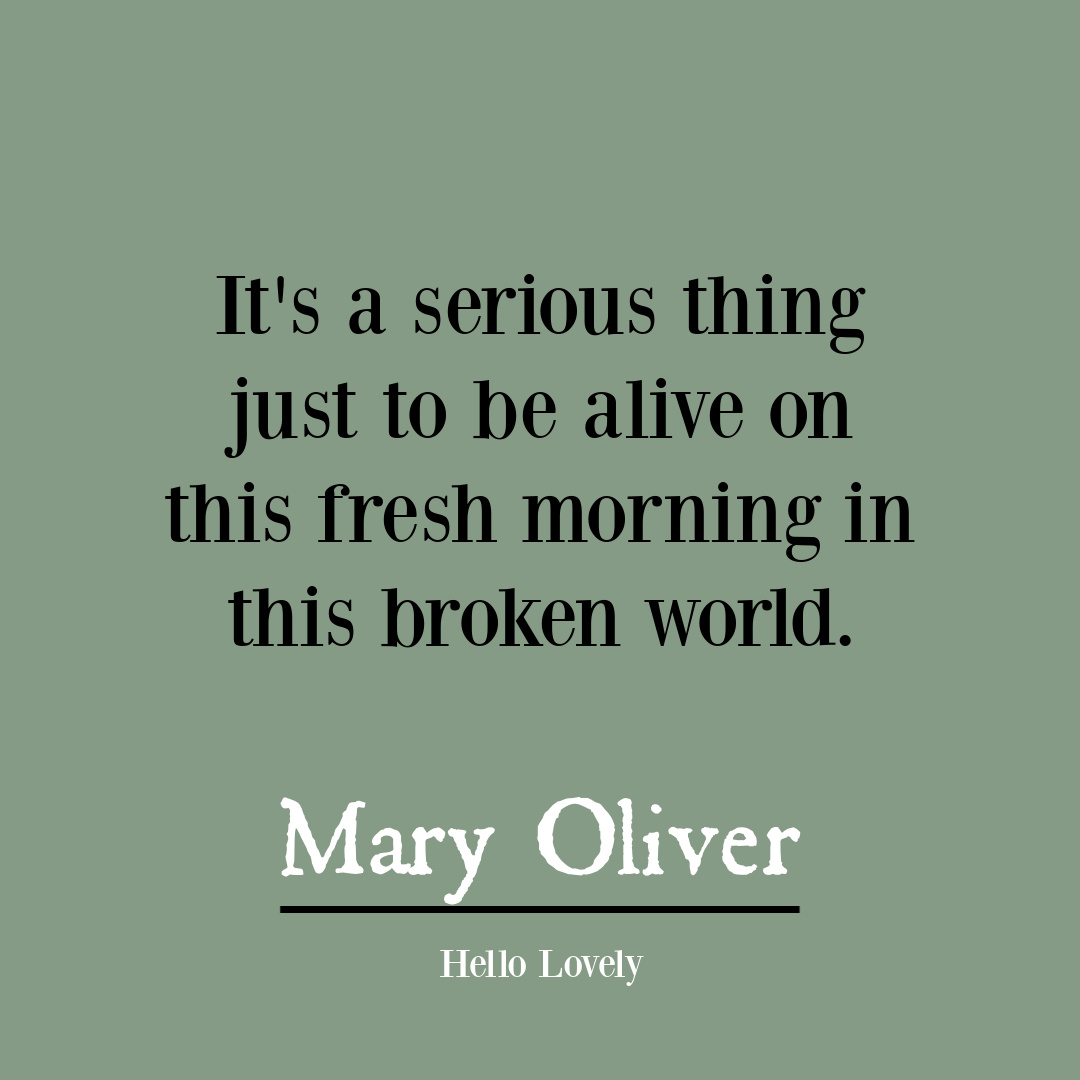 Nature poetry by Mary Oliver to inspire insight, wisdom, hope, and depth - on Hello Lovely Studio. #naturequote #gratitude