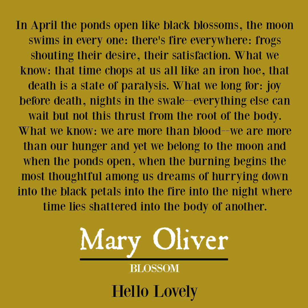 Nature poetry by Mary Oliver to inspire insight, wisdom, hope, and depth - on Hello Lovely Studio. #aprilquote #naturepoem