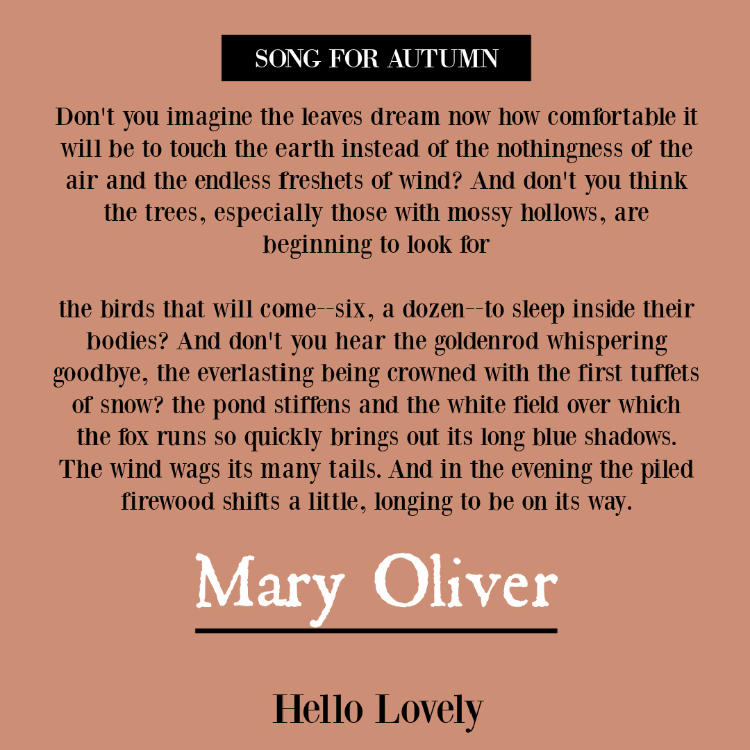 Nature poetry by Mary Oliver to inspire insight, wisdom, hope, and depth - on Hello Lovely Studio. #autumnquote #fallseason #naturepoem