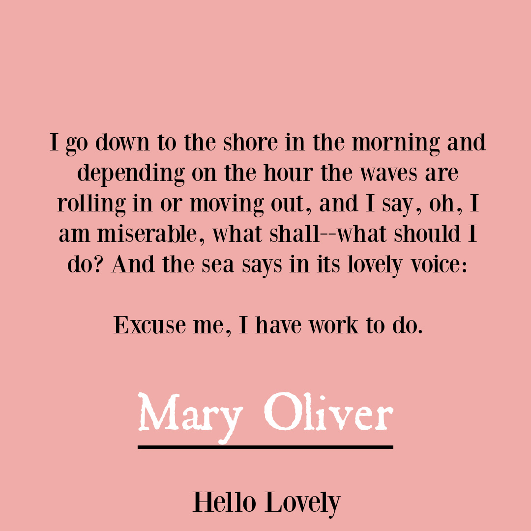 Nature poetry by Mary Oliver to inspire insight, wisdom, hope, and depth - on Hello Lovely Studio. #soulquote #oceanquote