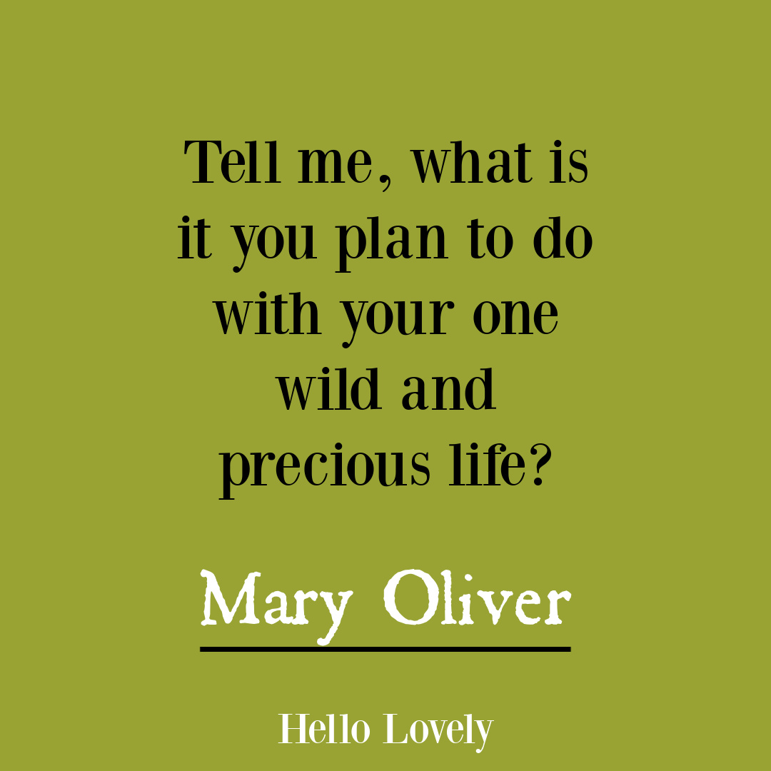 Nature poetry by Mary Oliver to inspire insight, wisdom, hope, and depth - on Hello Lovely Studio.