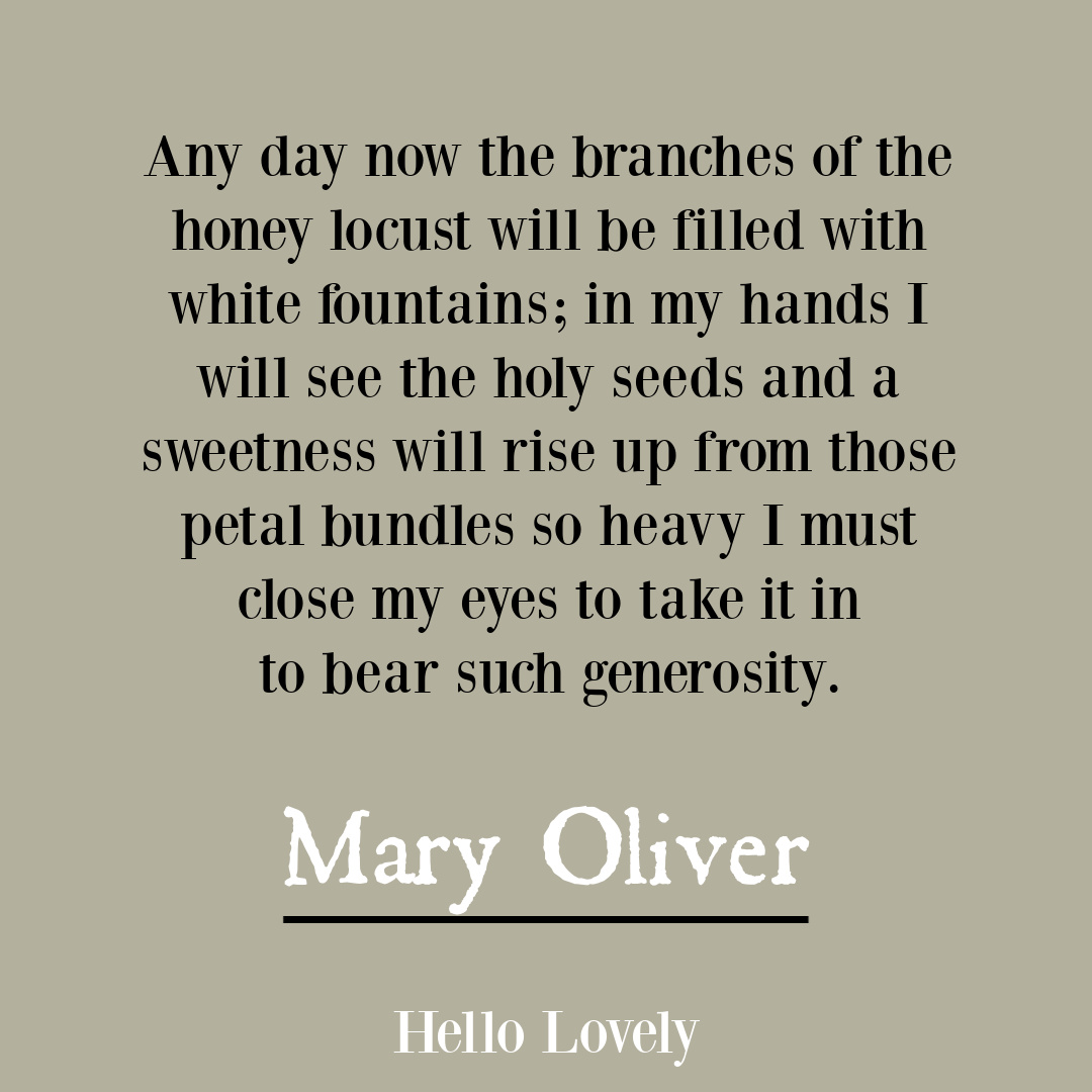 Nature poetry by Mary Oliver to inspire insight, wisdom, hope, and depth - on Hello Lovely Studio.