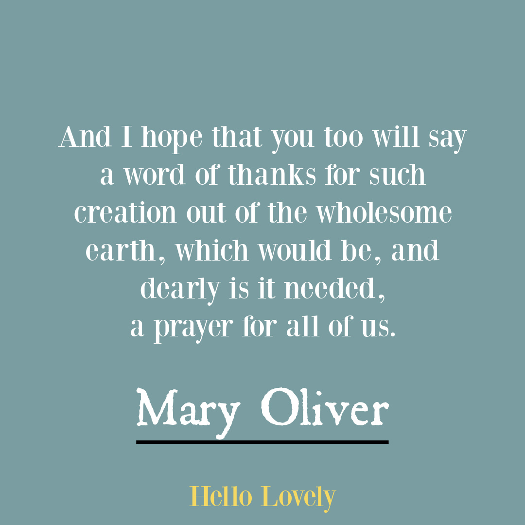 Nature poetry by Mary Oliver to inspire insight, wisdom, hope, and depth - on Hello Lovely Studio.