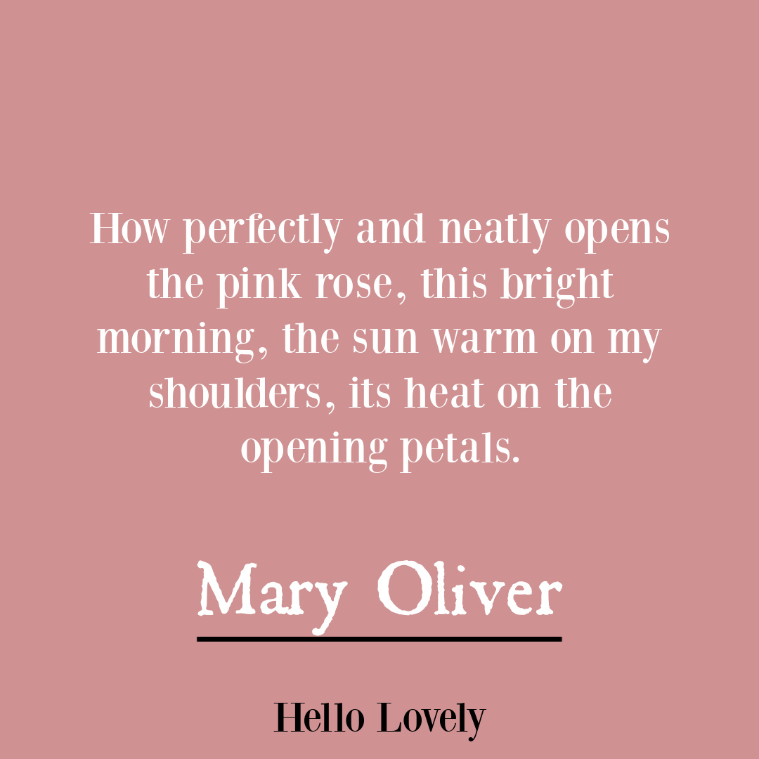 Nature poetry by Mary Oliver to inspire insight, wisdom, hope, and depth - on Hello Lovely Studio.