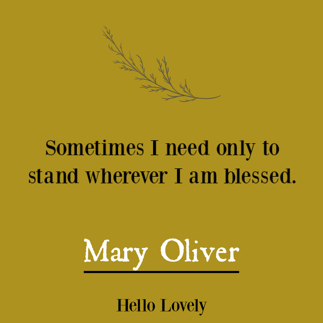 Nature poetry by Mary Oliver to inspire insight, wisdom, hope, and depth - on Hello Lovely Studio.
